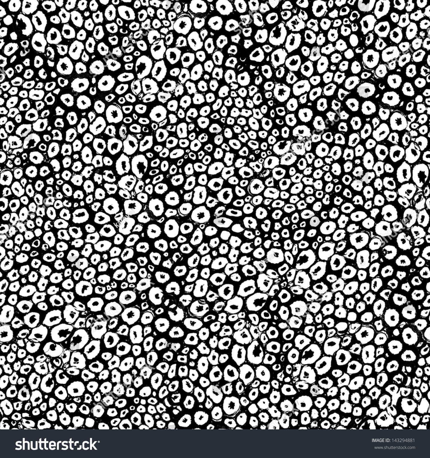 Seamless Corals Texture. Black And White Illustration. - 143294881 ...