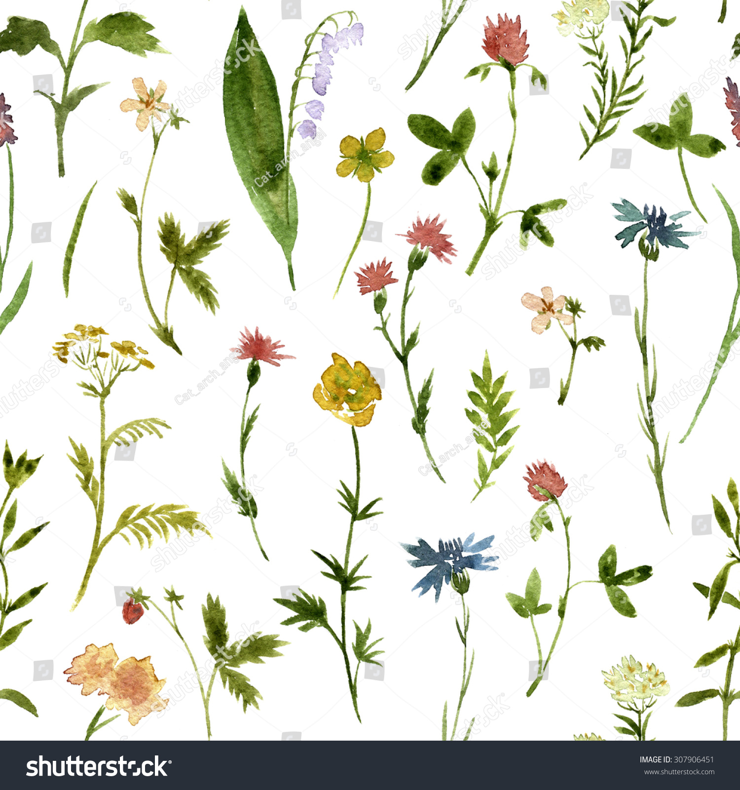 Seamless Floral Pattern Watercolor Drawing Herbs Stock Illustration ...