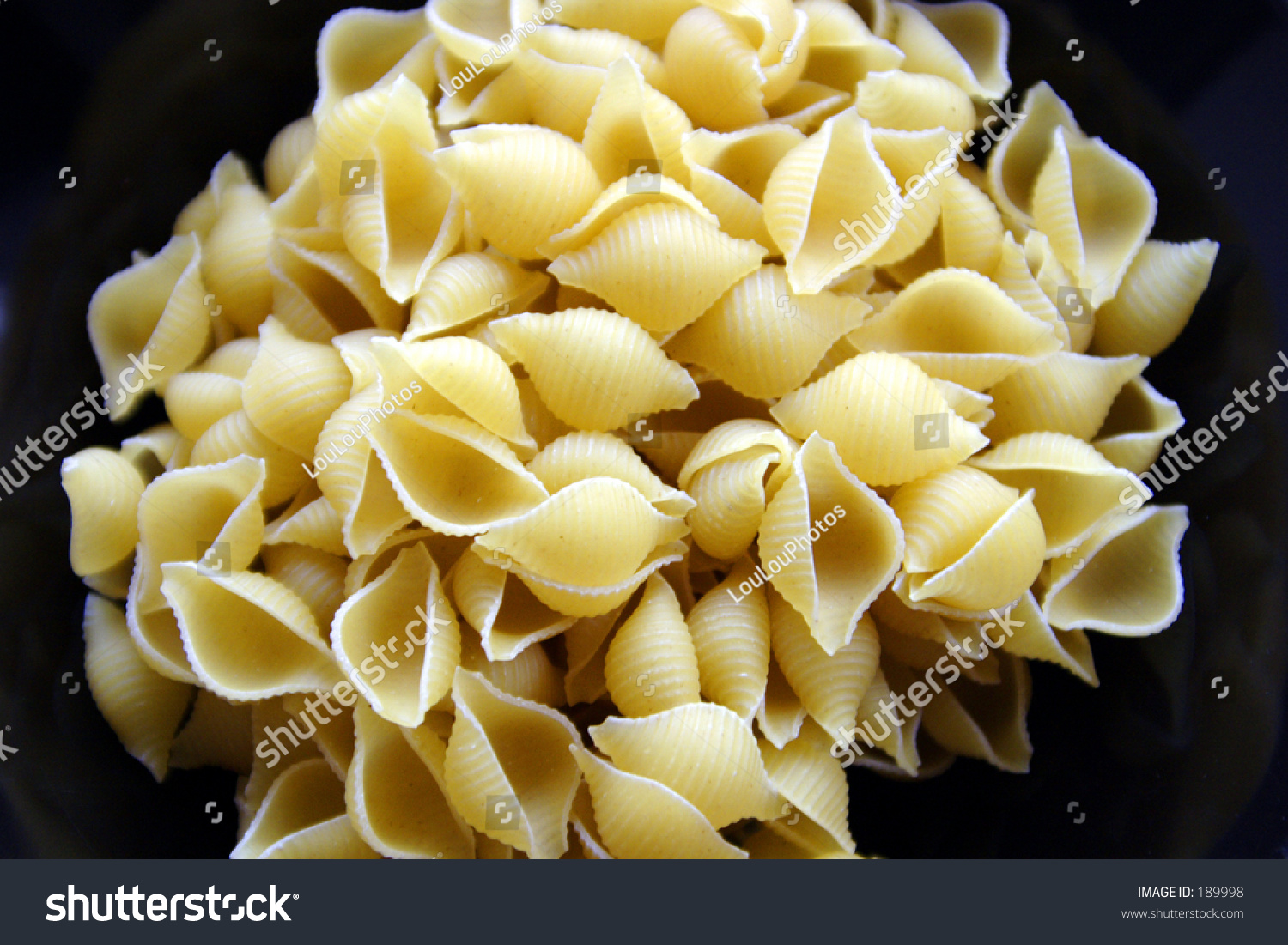 giant shell noodles