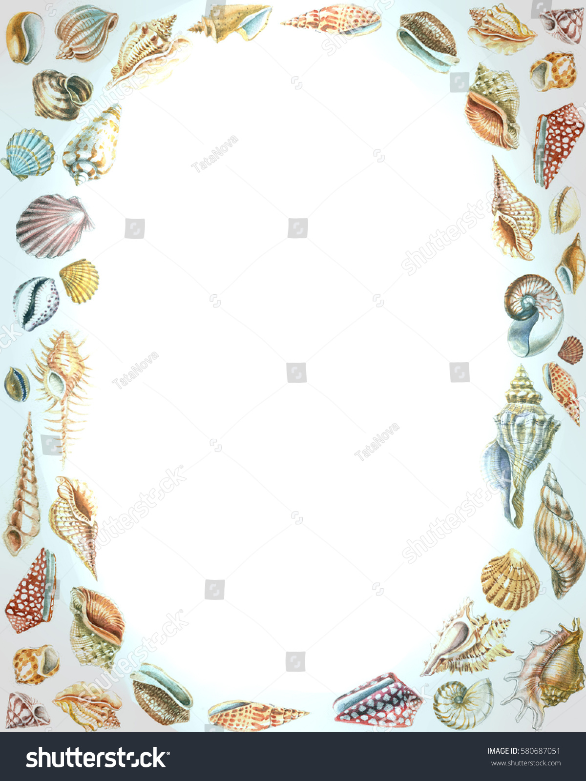 Seashells Drawing Watercolor Frame Stock Illustration 580687051 ...