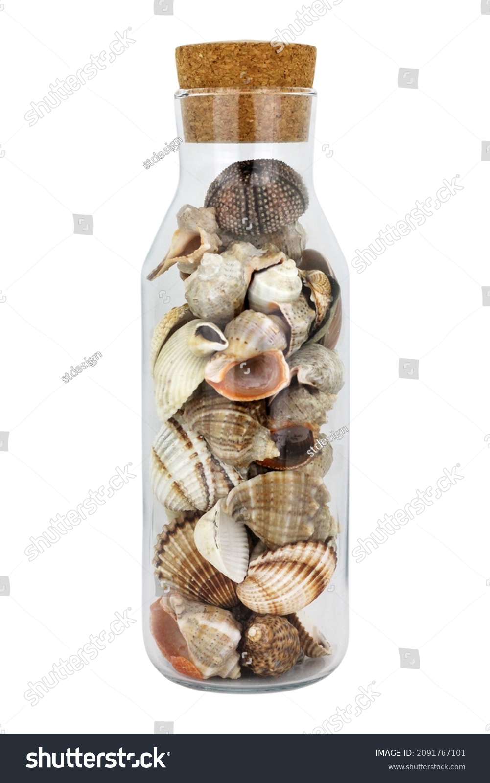 1 996 Jar Of Seashells Images Stock Photos Vectors Shutterstock   Stock Photo Seashells In A Glass Jar On White Background Summer Concept 2091767101 