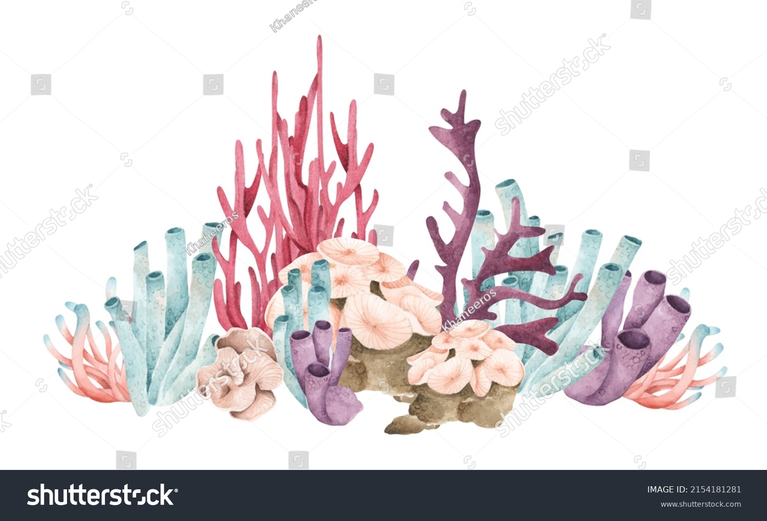 Seaweeds Underwater Ocean Plants Sea Coral Stock Illustration ...