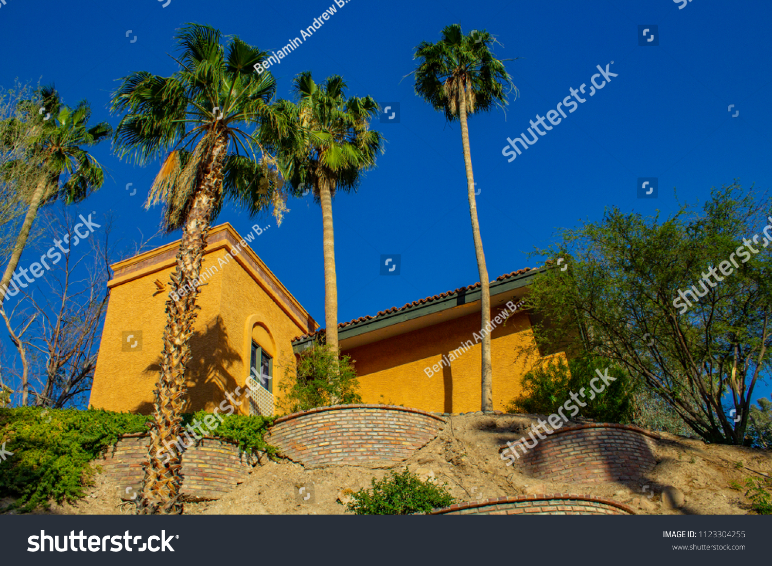 Are There Palm Trees In Sedona Arizona