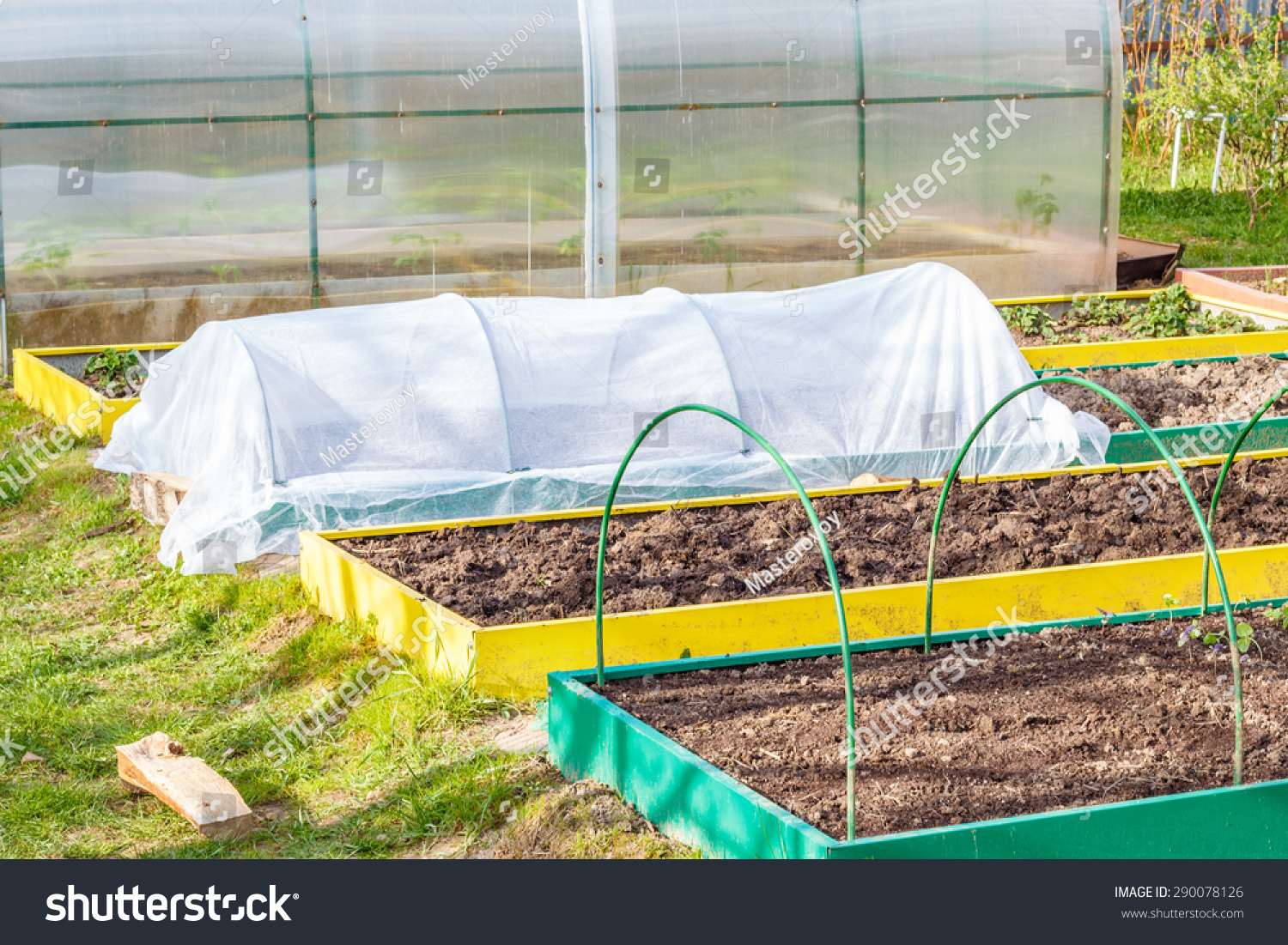 Seedbed On The Household Plot. Vegetable Garden. Dacha. Russia Stock ...