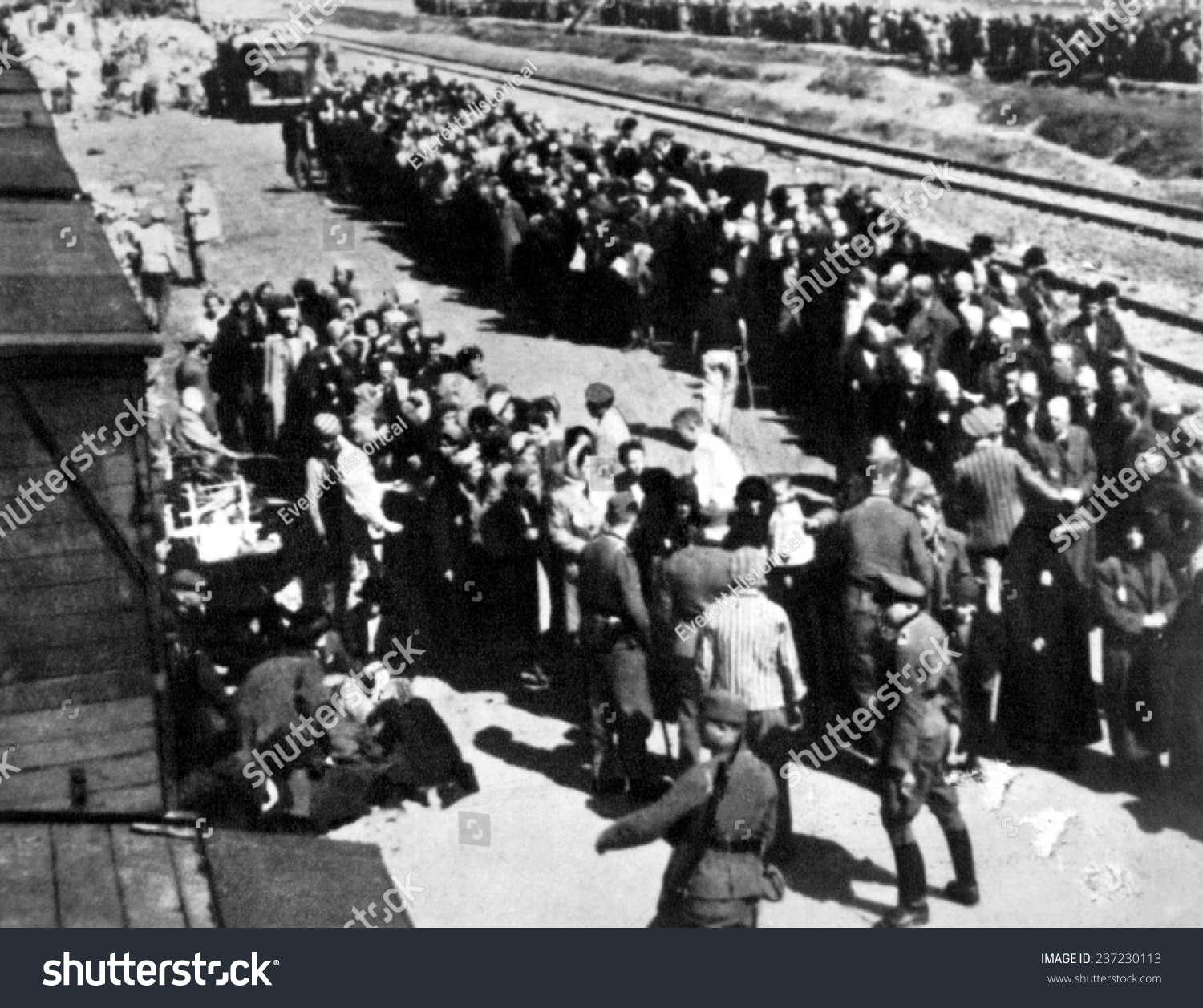 Selection And Separation Of Prisoners At The Auschwitz-Birkenau