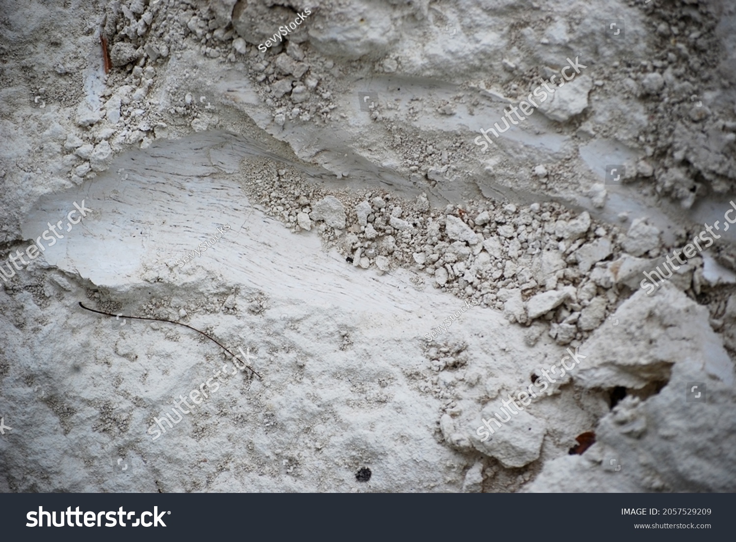 13,457 Limestone soil Images, Stock Photos & Vectors Shutterstock