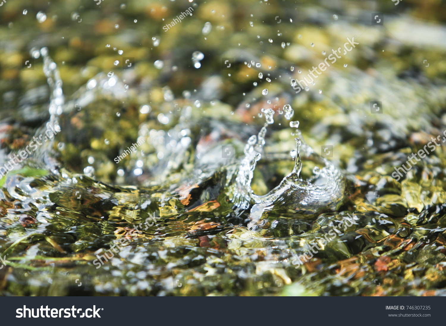 Selective Focus Water Drips On Rock Stock Photo 746307235 | Shutterstock