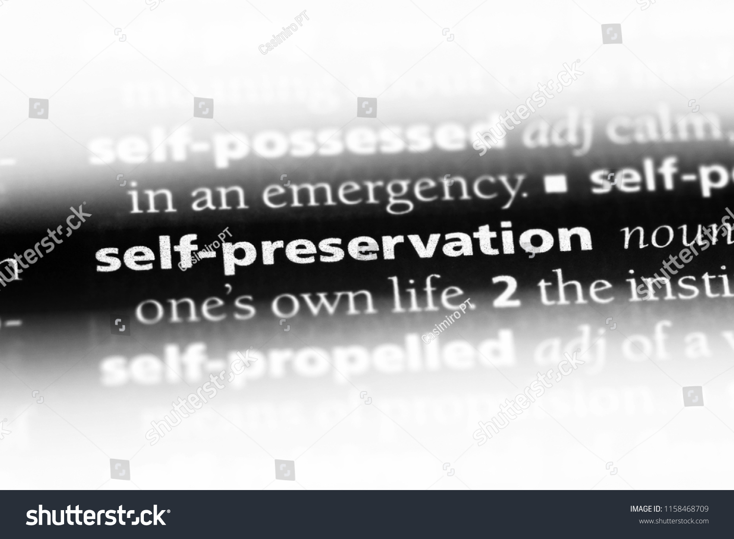 self-preservation-word-dictionary-self-preservation-stock-photo