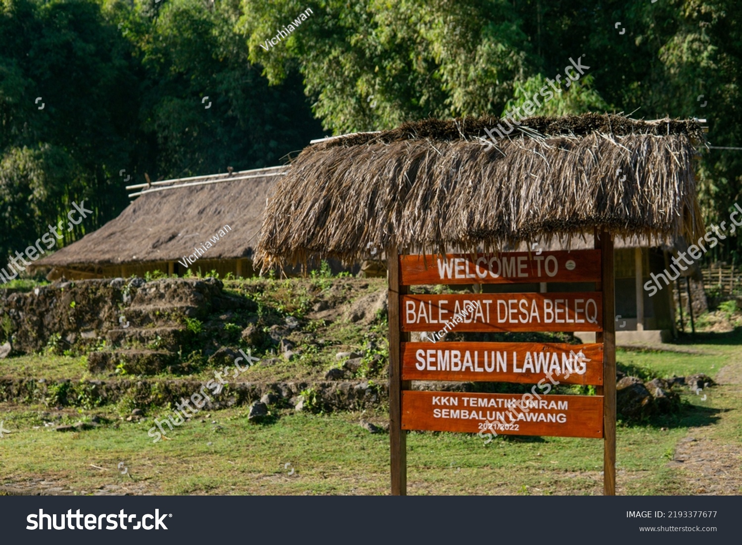 Lombok Native Shutterstock