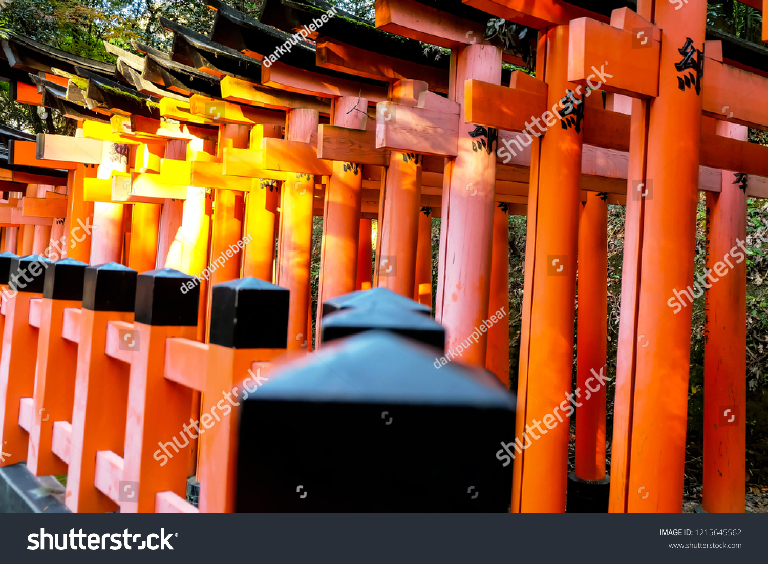 Senbon Torii Along Main Path Around Stock Photo Edit Now