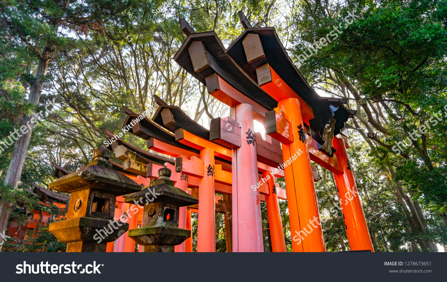 Senbon Torii Thousands Torii Gates Kanji Stock Photo Edit Now