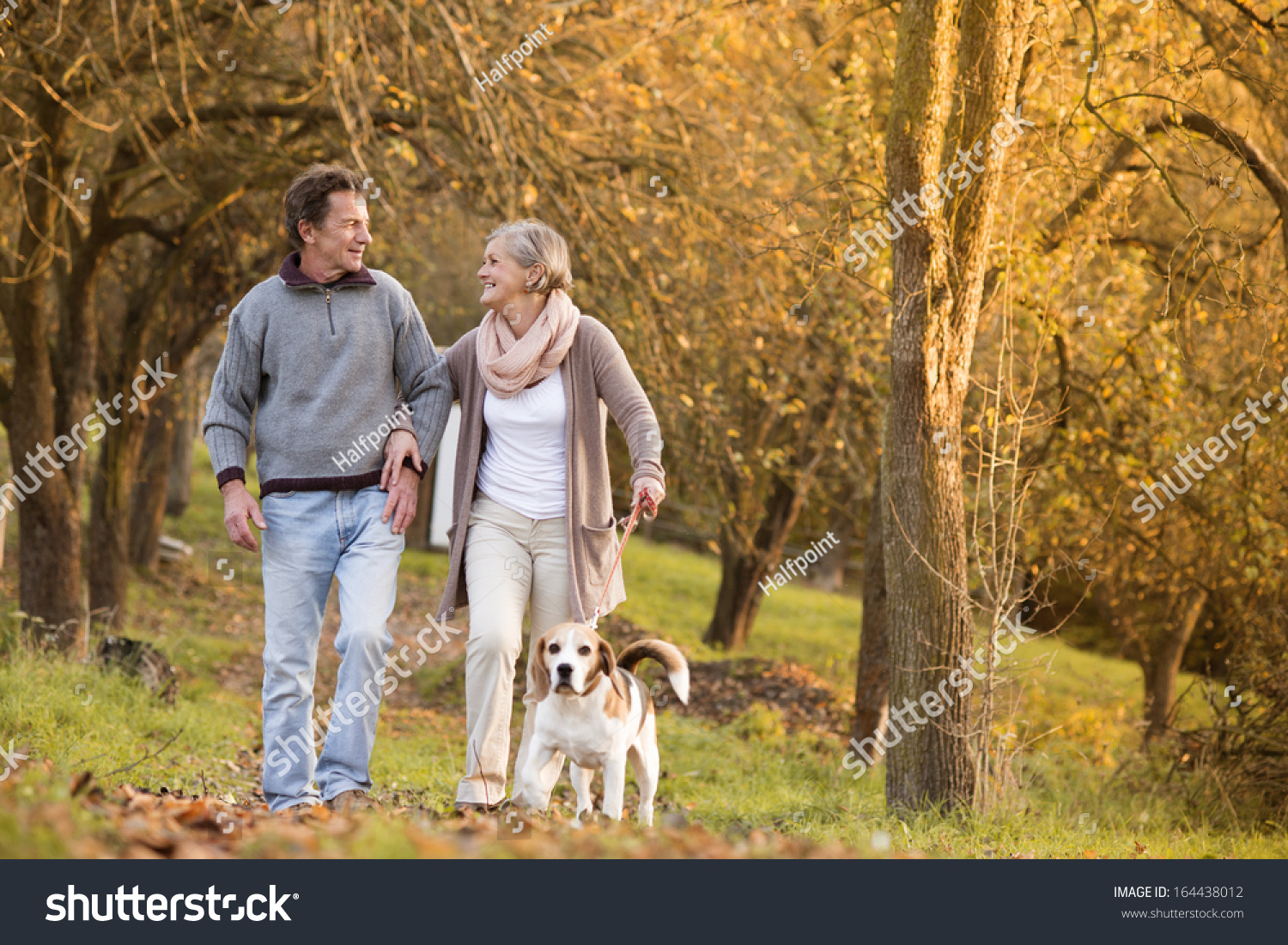 Senior Couple Walking Their Beagle Dog In Autumn Countryside Stock ...