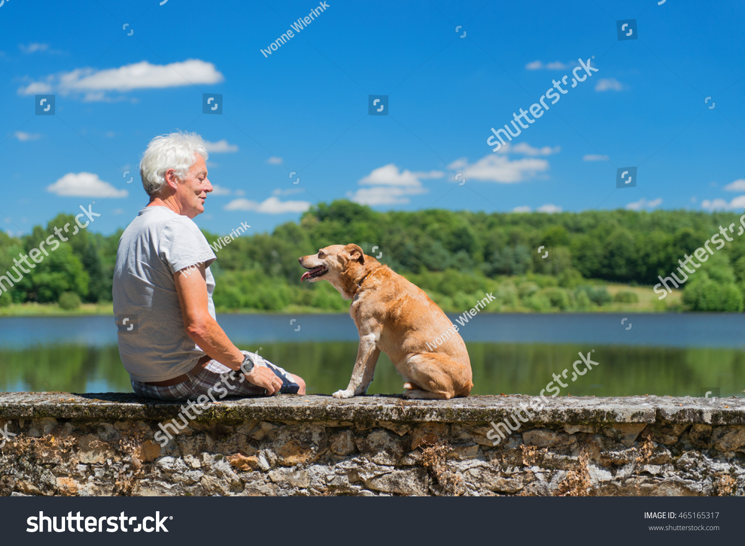  Teal Dual Curve Template Design Featuring Senior Man with Old Brown Dog on Wall