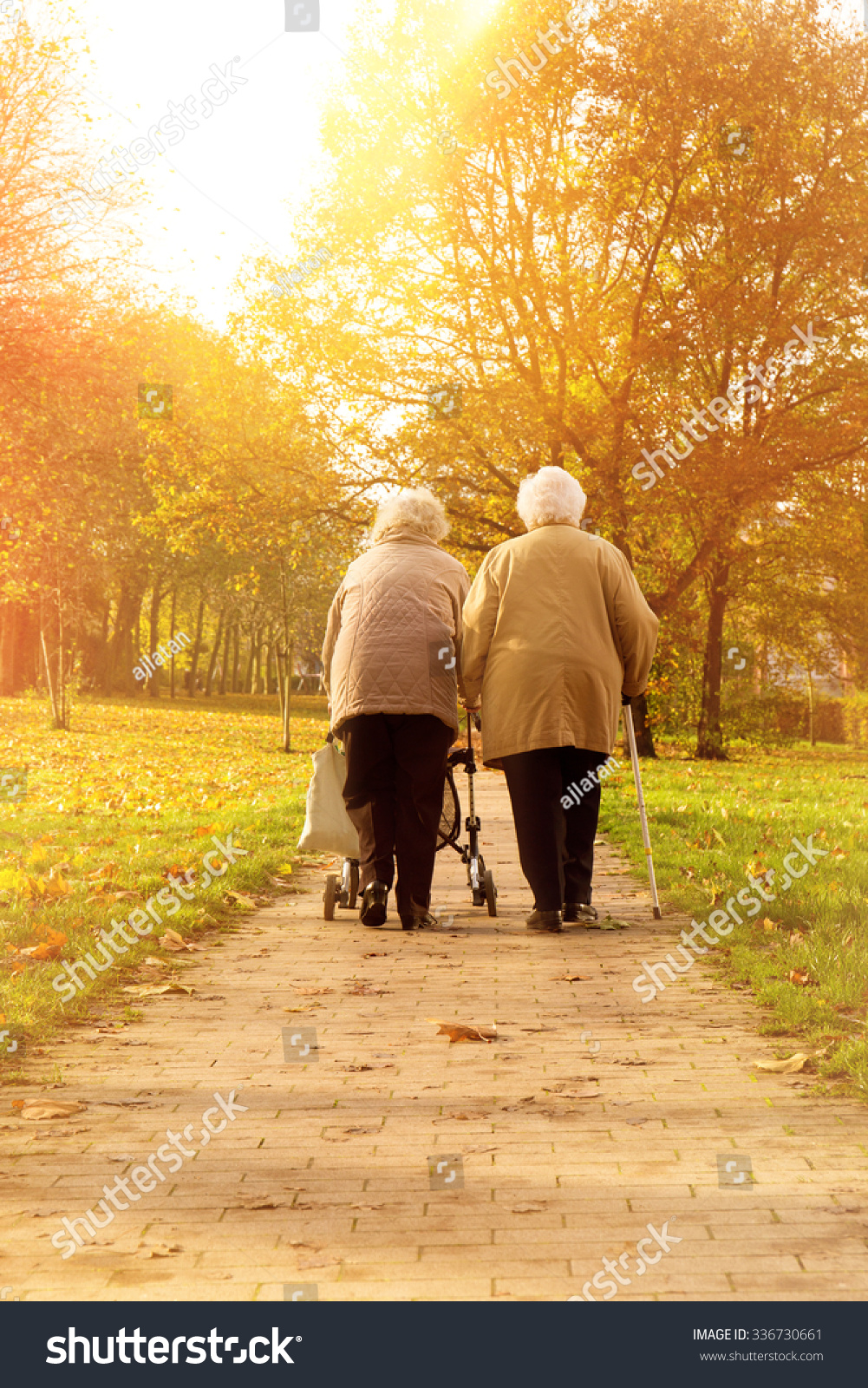 Seniors Do Walk In The Park Stock Photo 336730661 Shutterstock