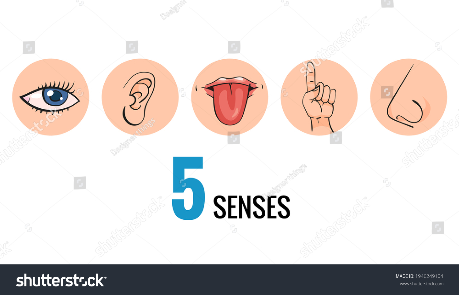 Sensory Organs Nose Smell Eyes Vision Stock Illustration 1946249104 ...