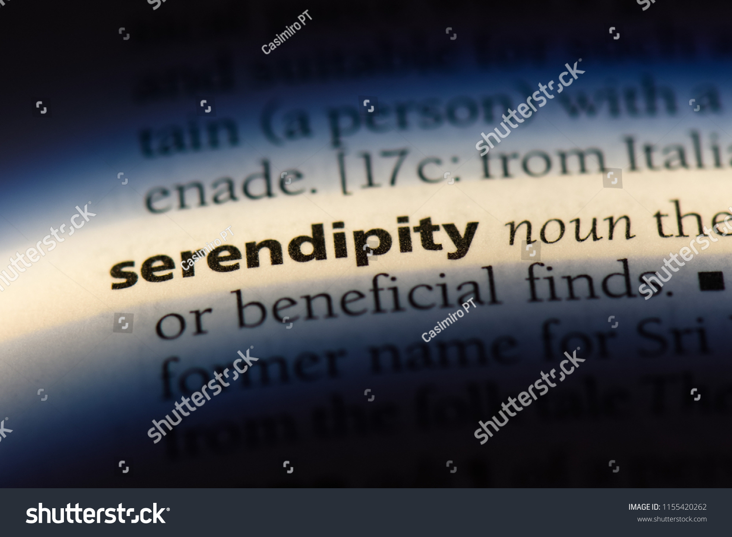 Define serendipity