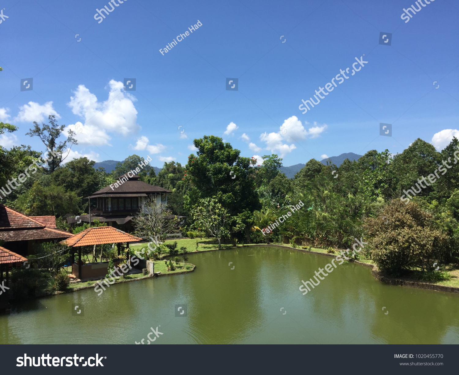 Serene Cabin By Lake Stock Photo Edit Now 1020455770