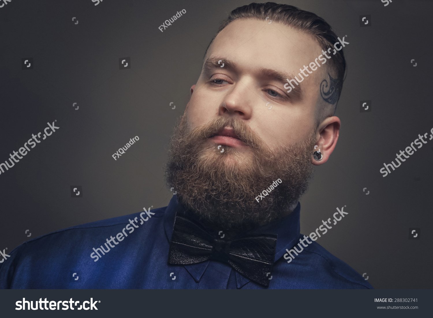 Serious Guy In Blue Shirt And Bow Tie. Isolated On Grey Stock Photo ...