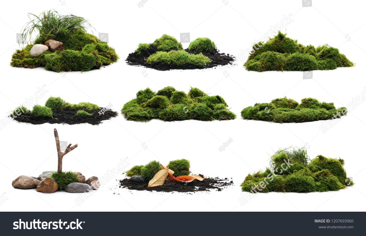 Set Green Moss Isolated On White Stock Photo Edit Now 1207693960