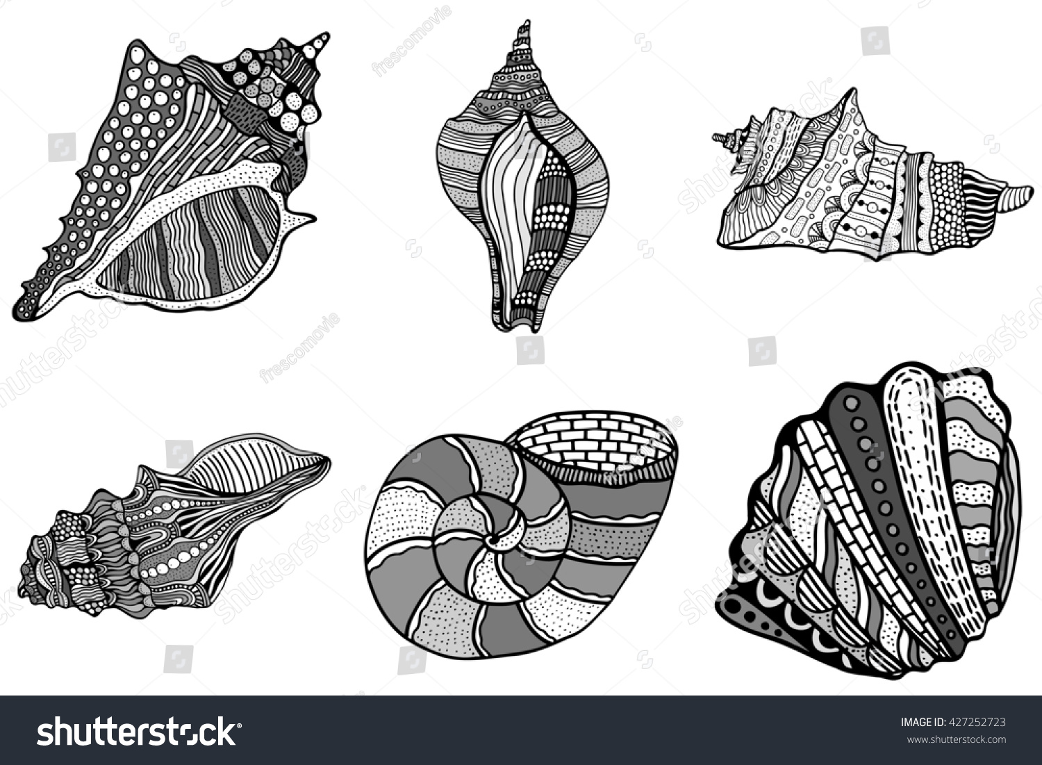 Set Art Color Monochrome Stylized Shell Stock Illustration 427252723