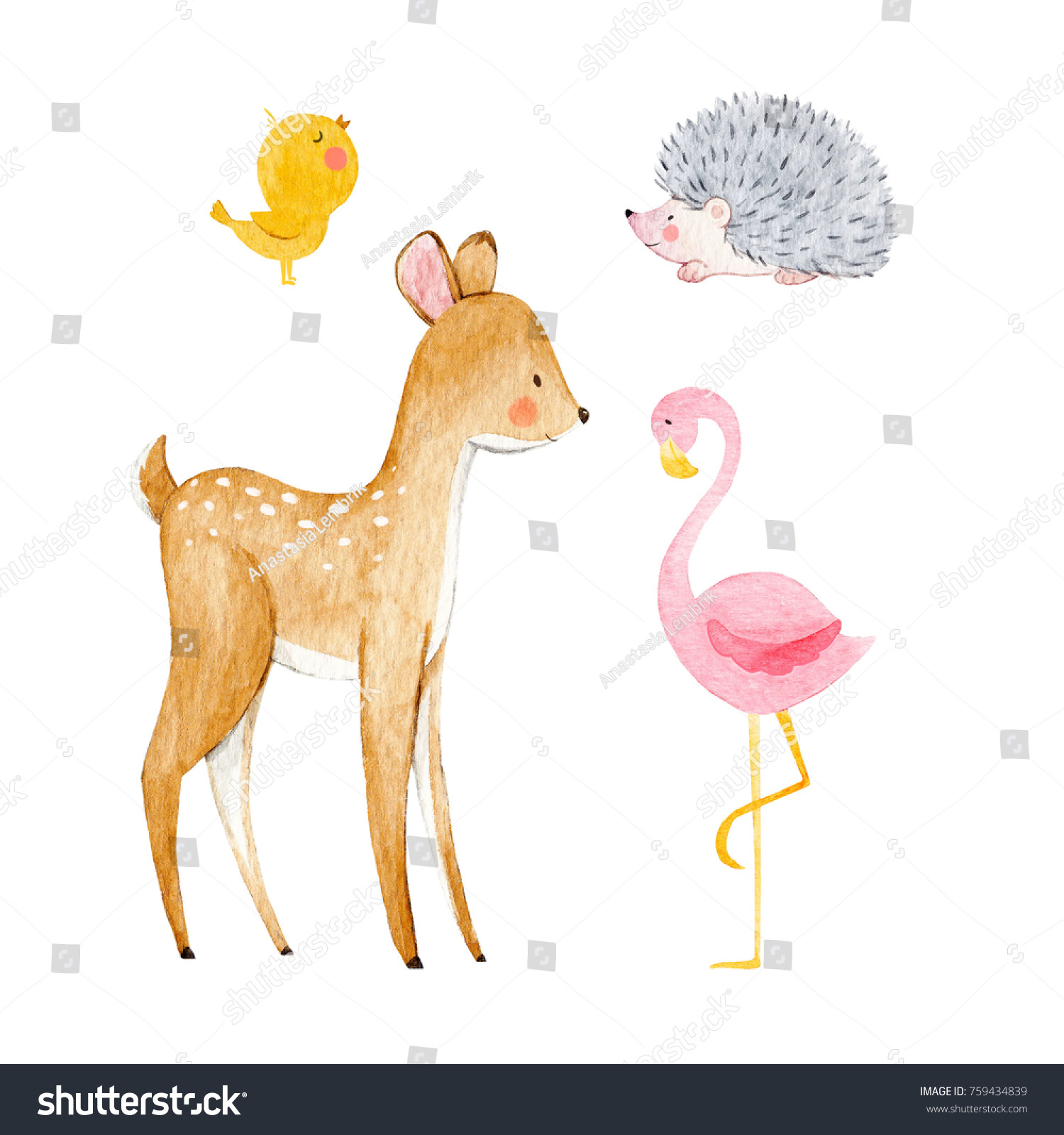 Is a cute Anastacia Is a cutey nude photos 2019 Is a cute Anastacia Is a cutey nude photos 2019