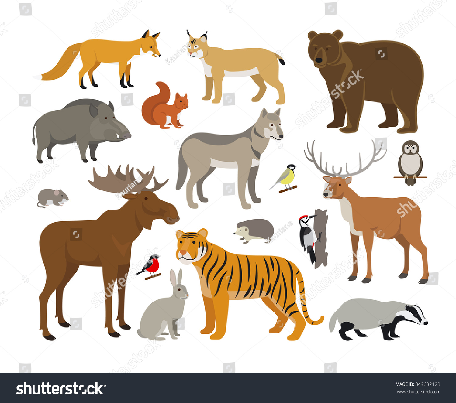 Set Forest Animals Stock Illustration 349682123 - Shutterstock