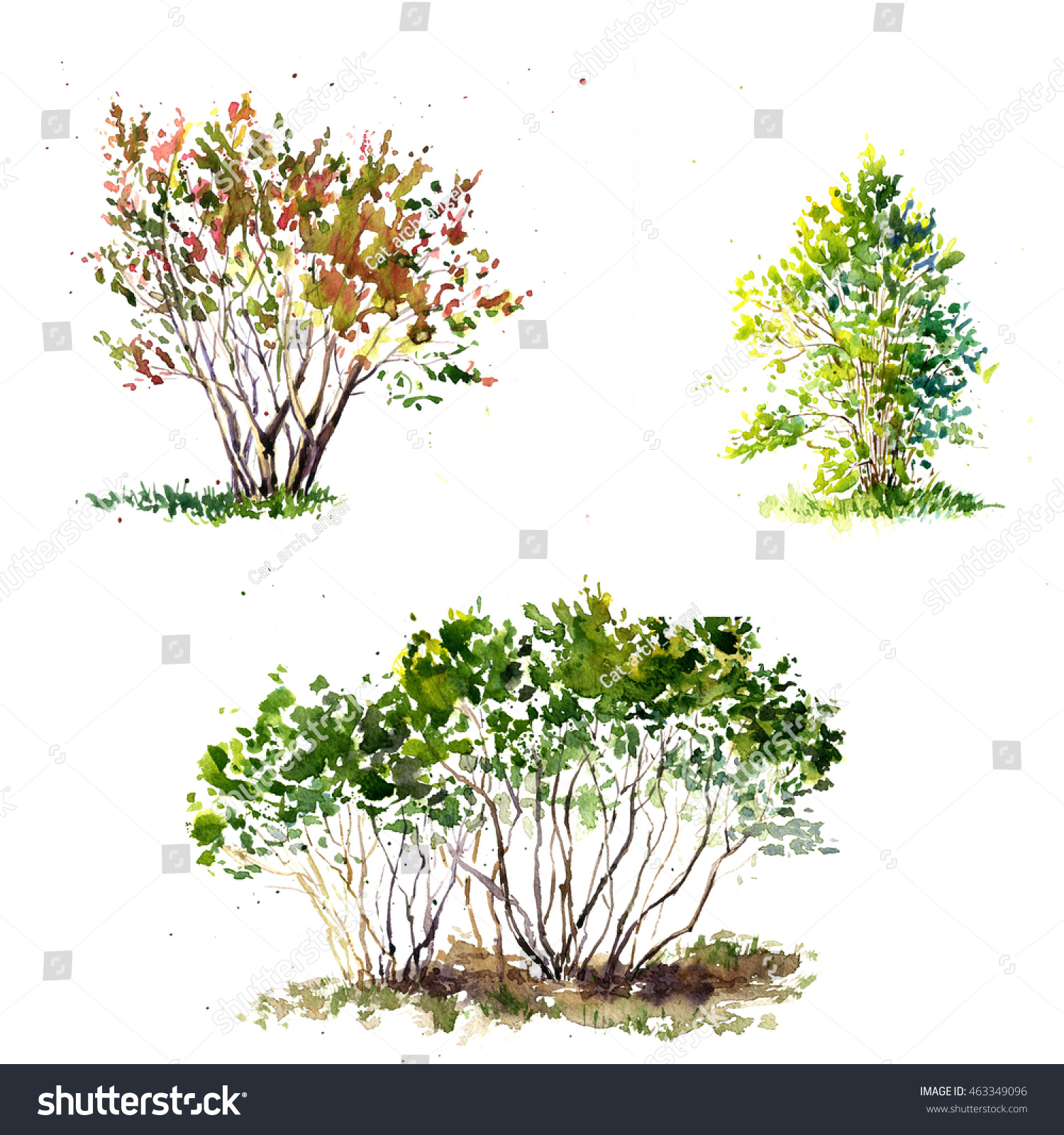 Set Green Bushes Drawing By Watercolor Stock Illustration 463349096 ... for Tree Drawing With Watercolor
143gtk Set Green Bushes Drawing By Watercolor Stock Illustration 463349096 ... for Tree Drawing With Watercolor
143gtk
