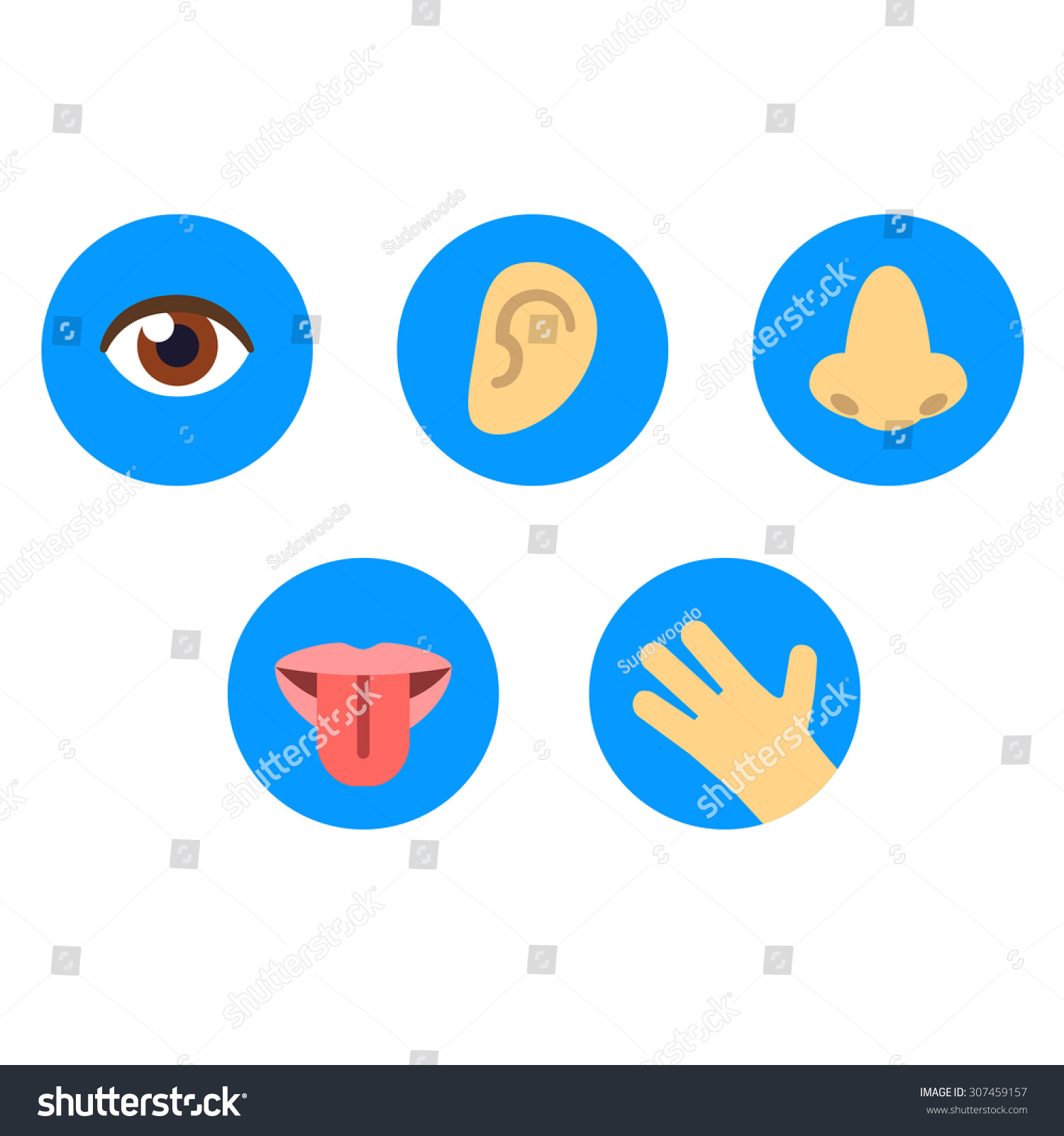 Set Icons Five Human Senses Sight Stock Illustration 307459157 ...