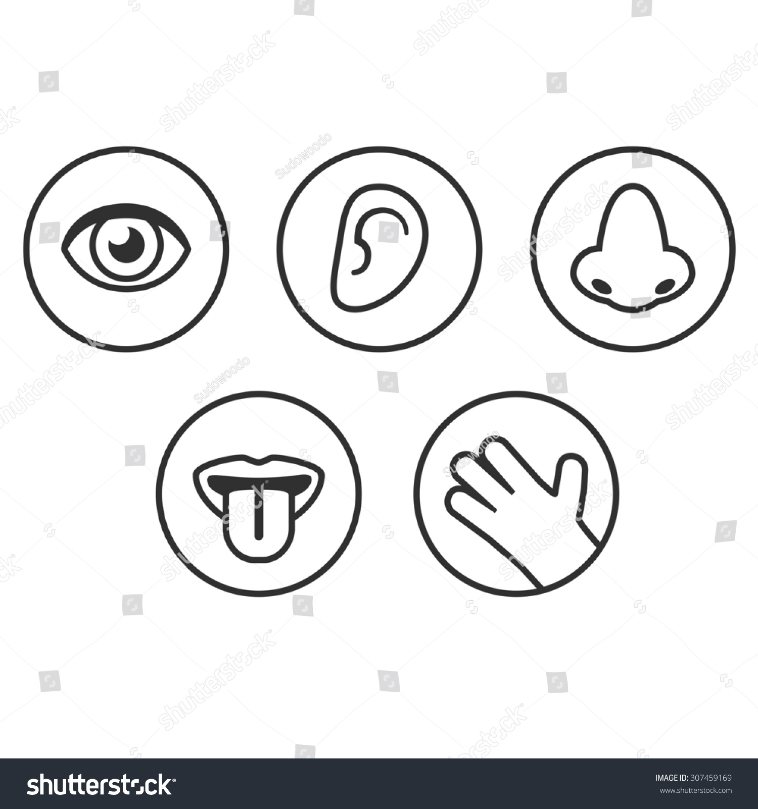 Set Of Icons Of Five Senses: Sight, Smell, Hearing, Touch, Taste. Stock ...