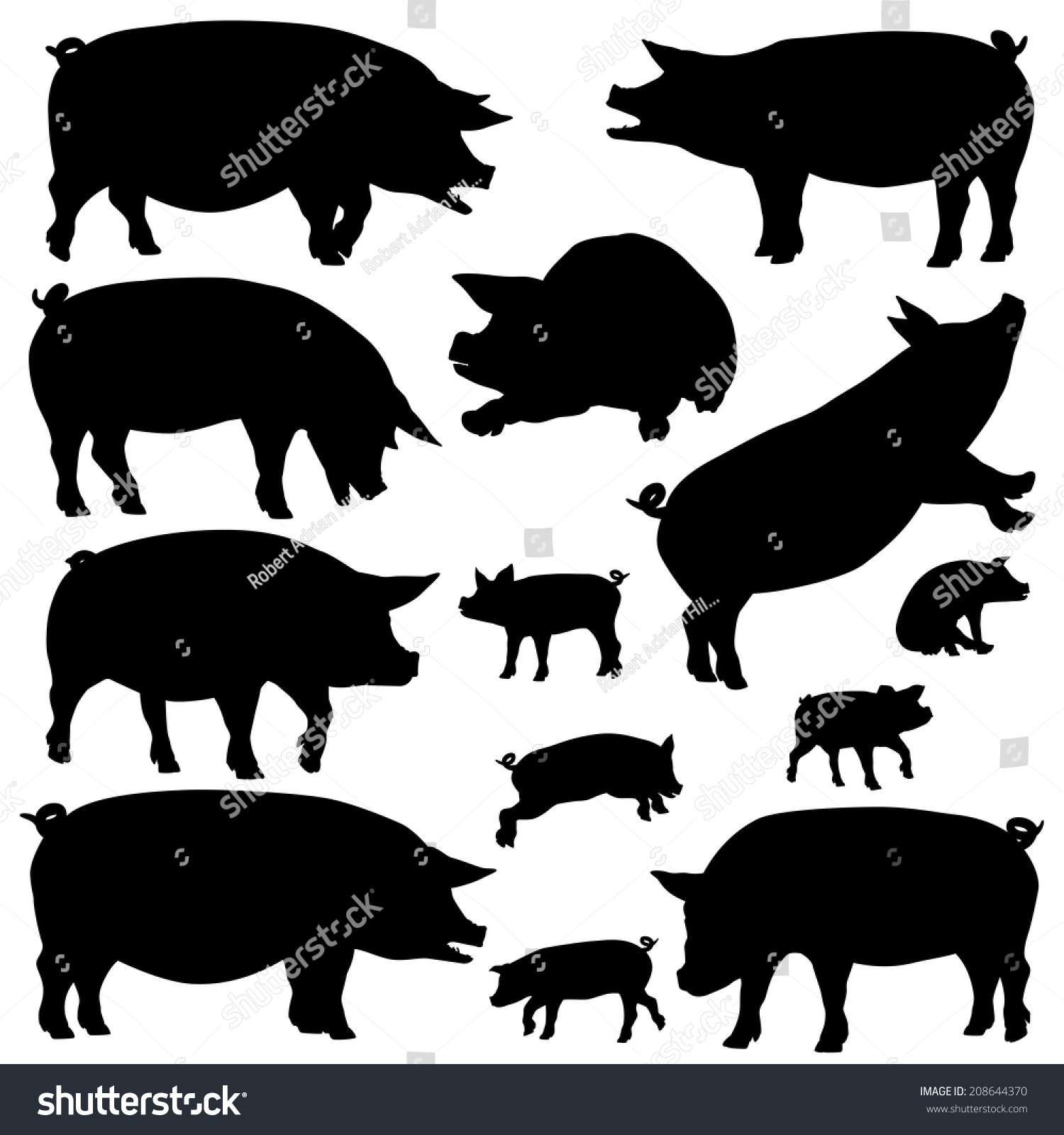 Set Of Illustrated Silhouettes Of Pigs And Piglets Stock Photo ...