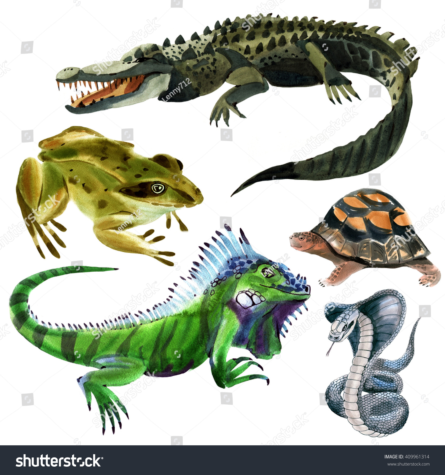 Set Of Reptiles Animals. Watercolor Illustration In White Background ...