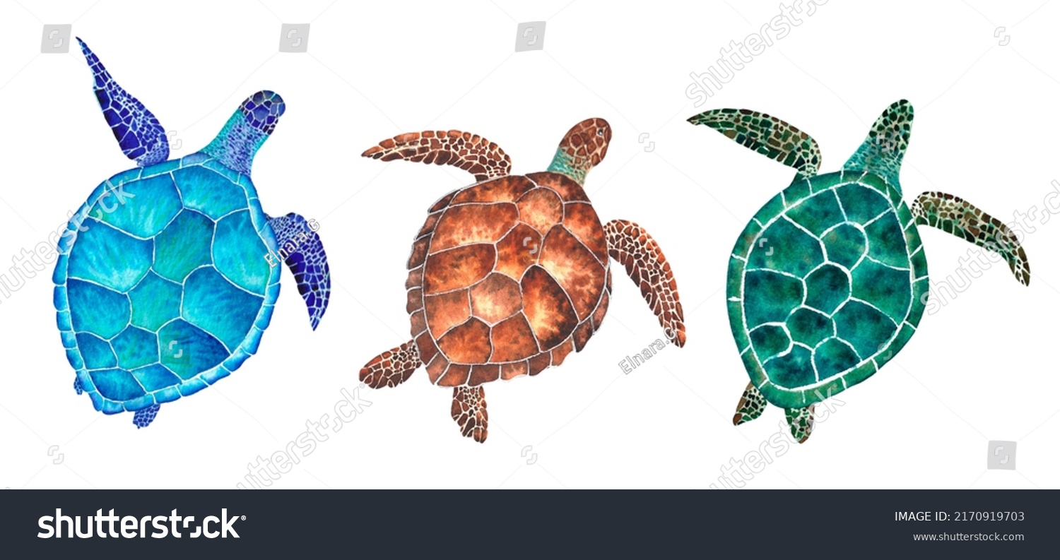 Set Sea Turtles Watercolor Illustration On Stock Illustration ...