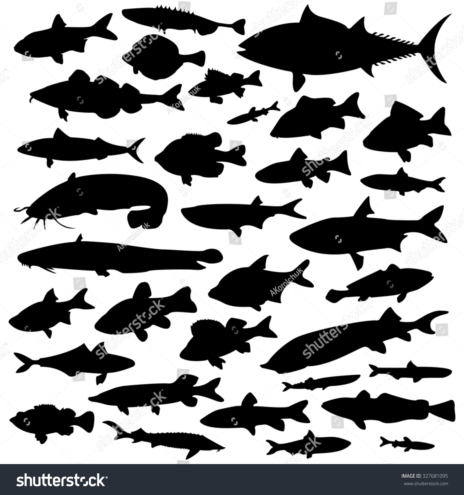 Set Of Silhouettes Of Fish Isolated On A White Background Stock Photo ...