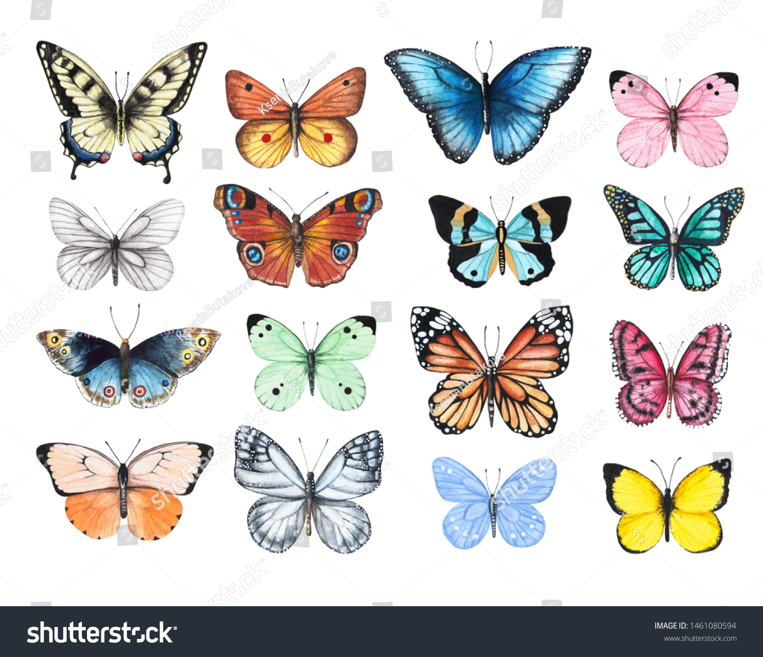 Set Watercolor Illustrations Depicting Bright Butterflies Stock ...