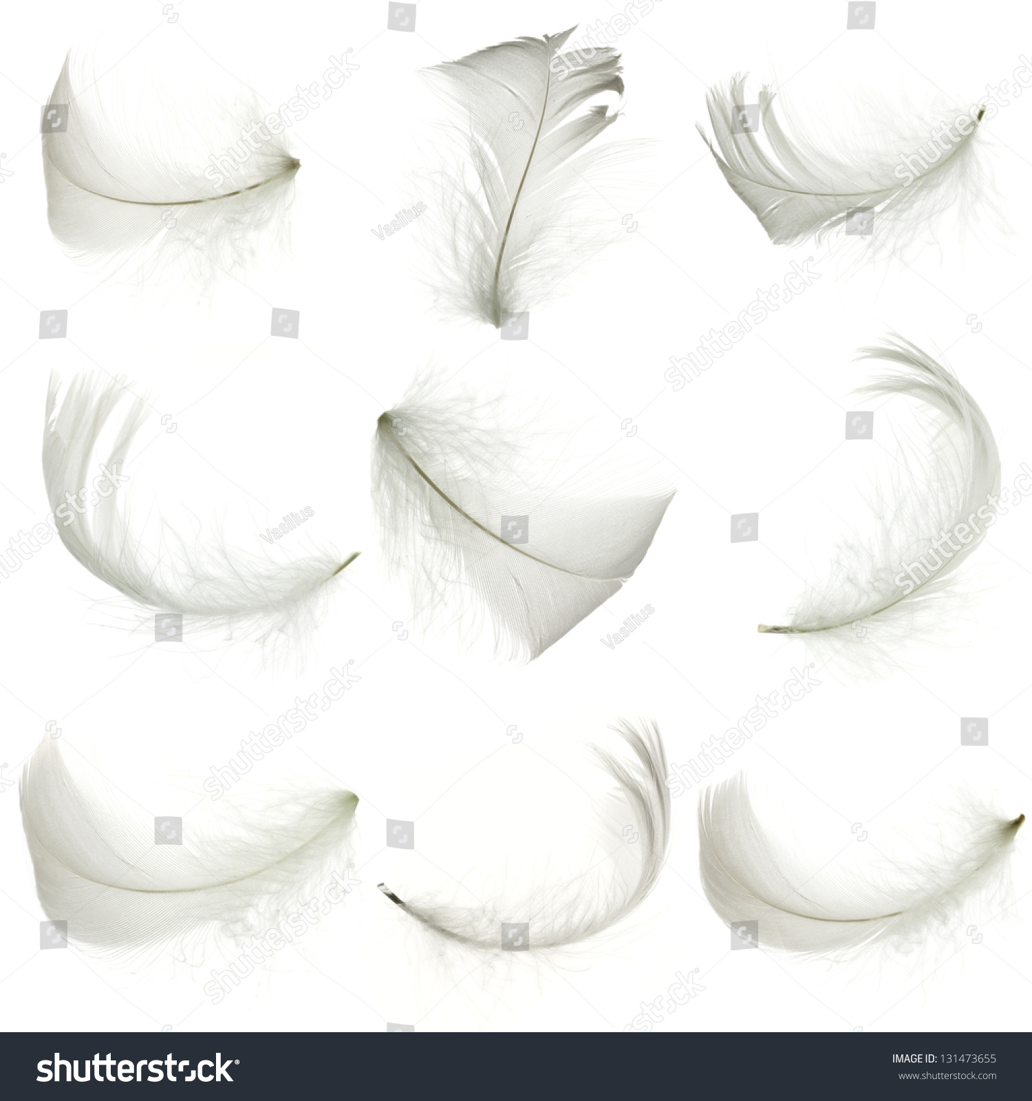 124,264 Goose feather Images, Stock Photos & Vectors | Shutterstock