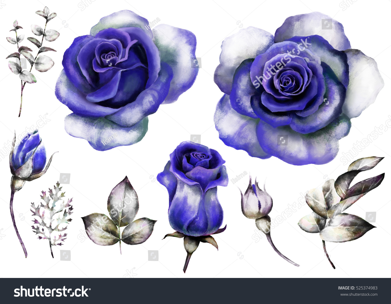 Set Vintage Watercolor Elements Blue Rose Stock Illustration Shutterstock