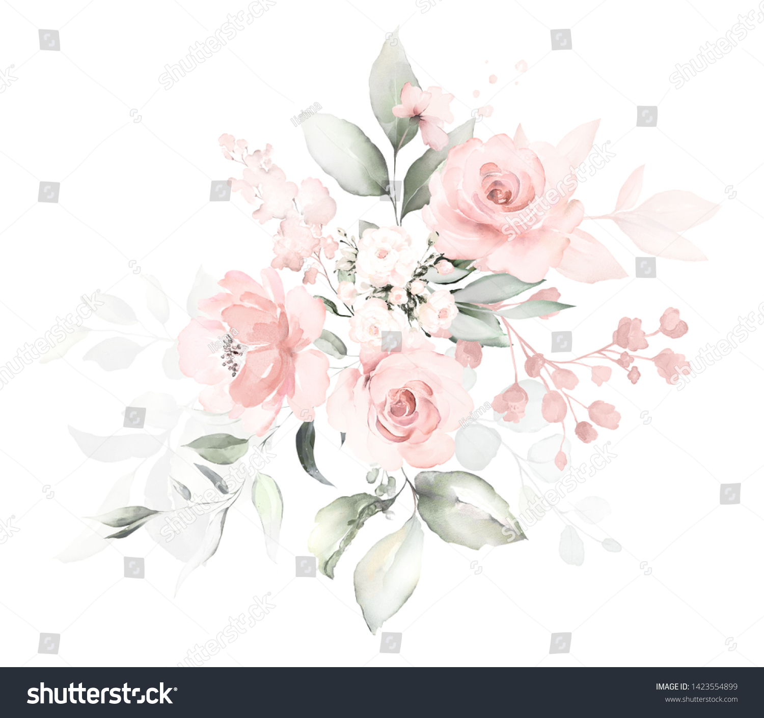 Set Watercolor Arrangements Roses Collection Garden Stock Illustration ...