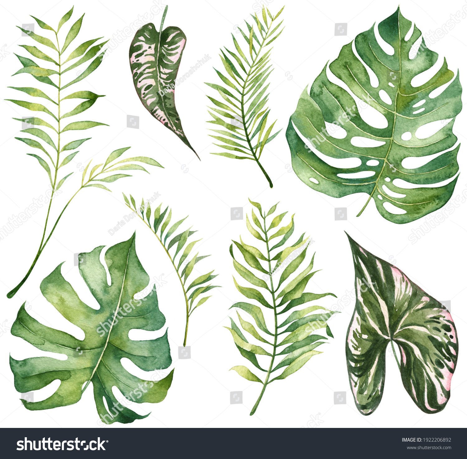 Set Realistic Tropical Leaves Isolated On Stock Illustration 1922206892 ...