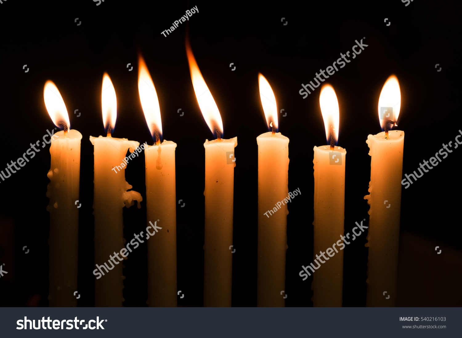 Seven Candles Light On A Menorah. Stock Photo 540216103 : Shutterstock