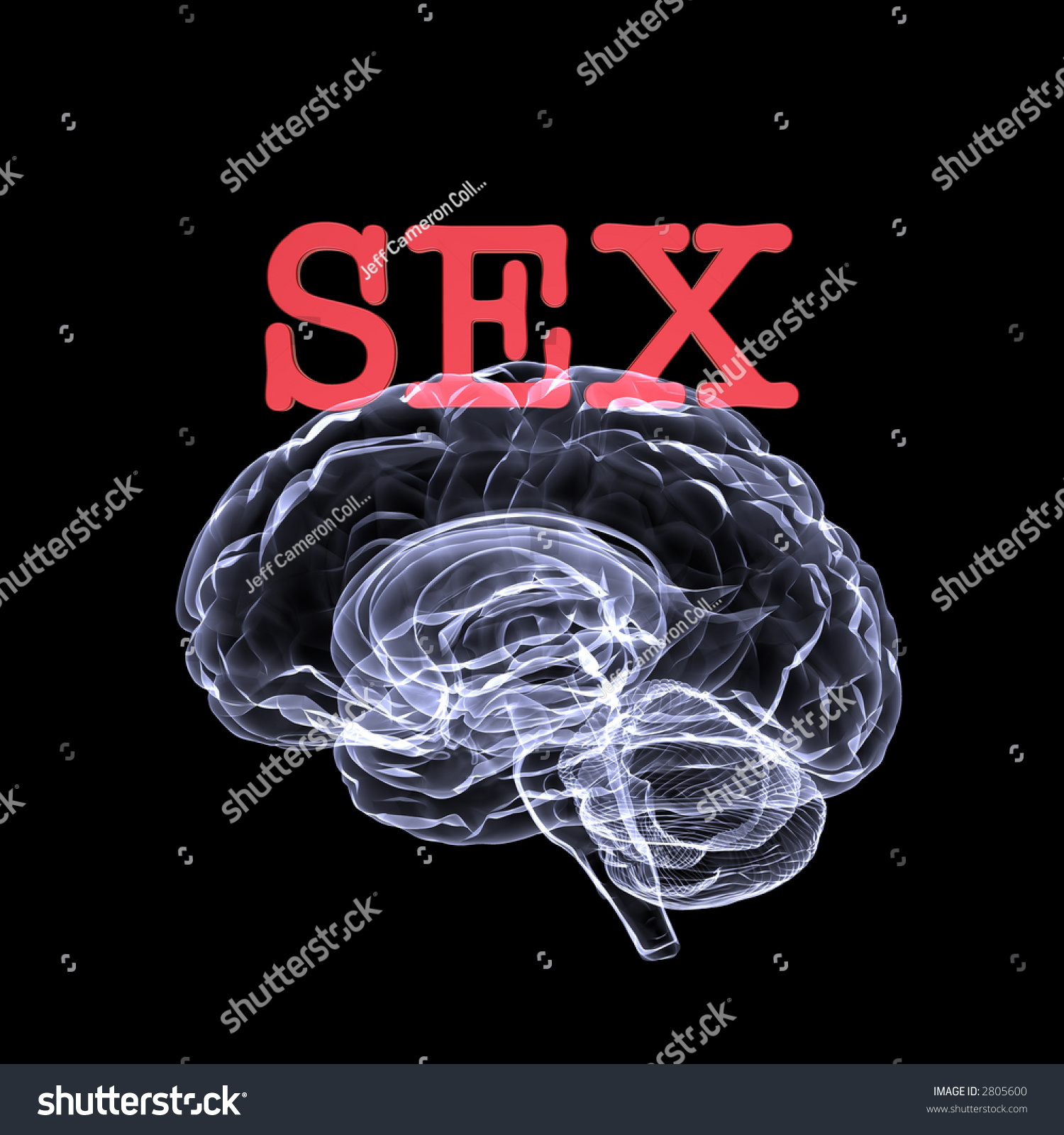 Sex On Brain Xray Brain Word Stock Illustration