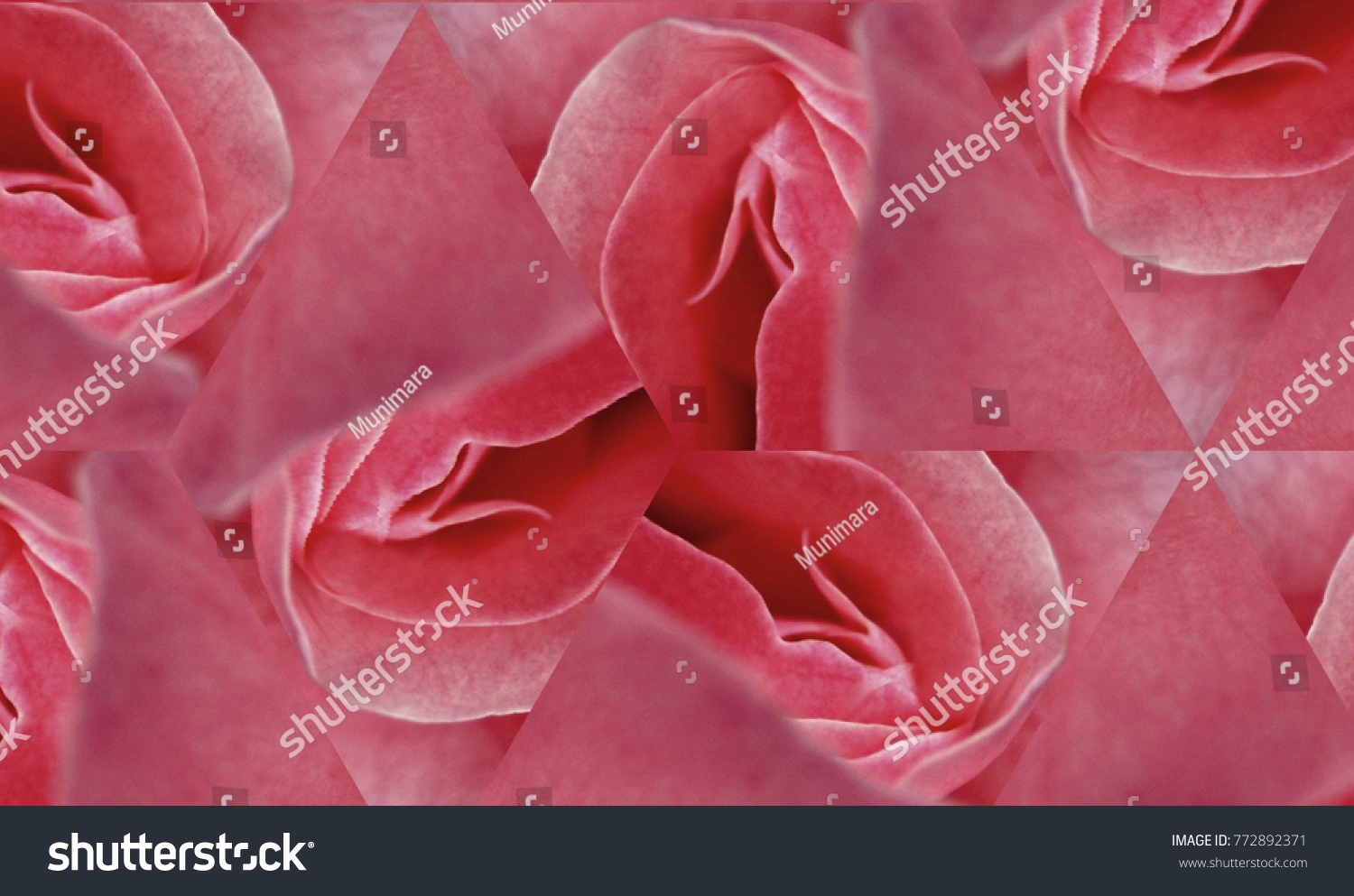 Sex Pussy Vulva Clitoris Vagina Orgasm Foto Stock 772892371 Shutterstock