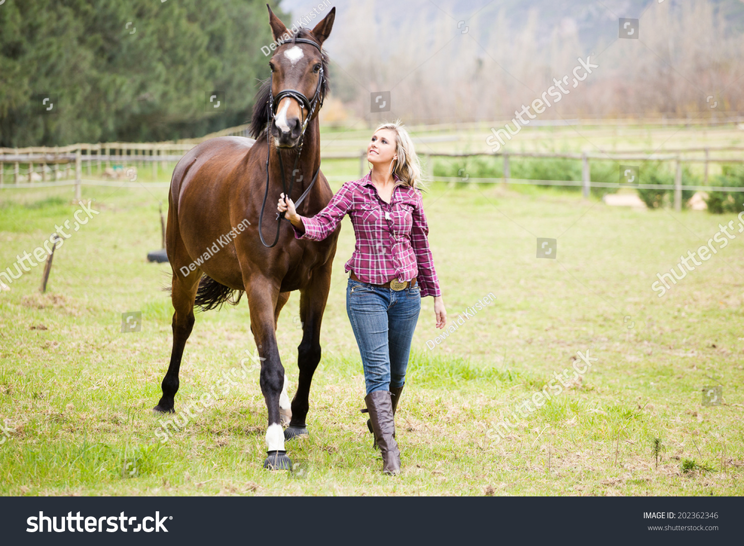 Sexy Blond Farm Girl Leading Horse库存照片202362346 | Shutterstock