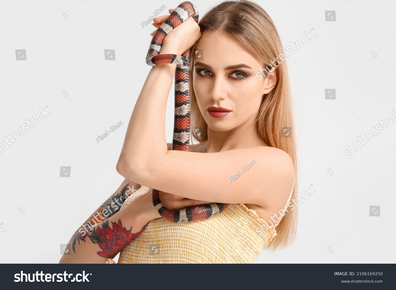 Sexy babe Woman Snake On Light库存照片 Shutterstock