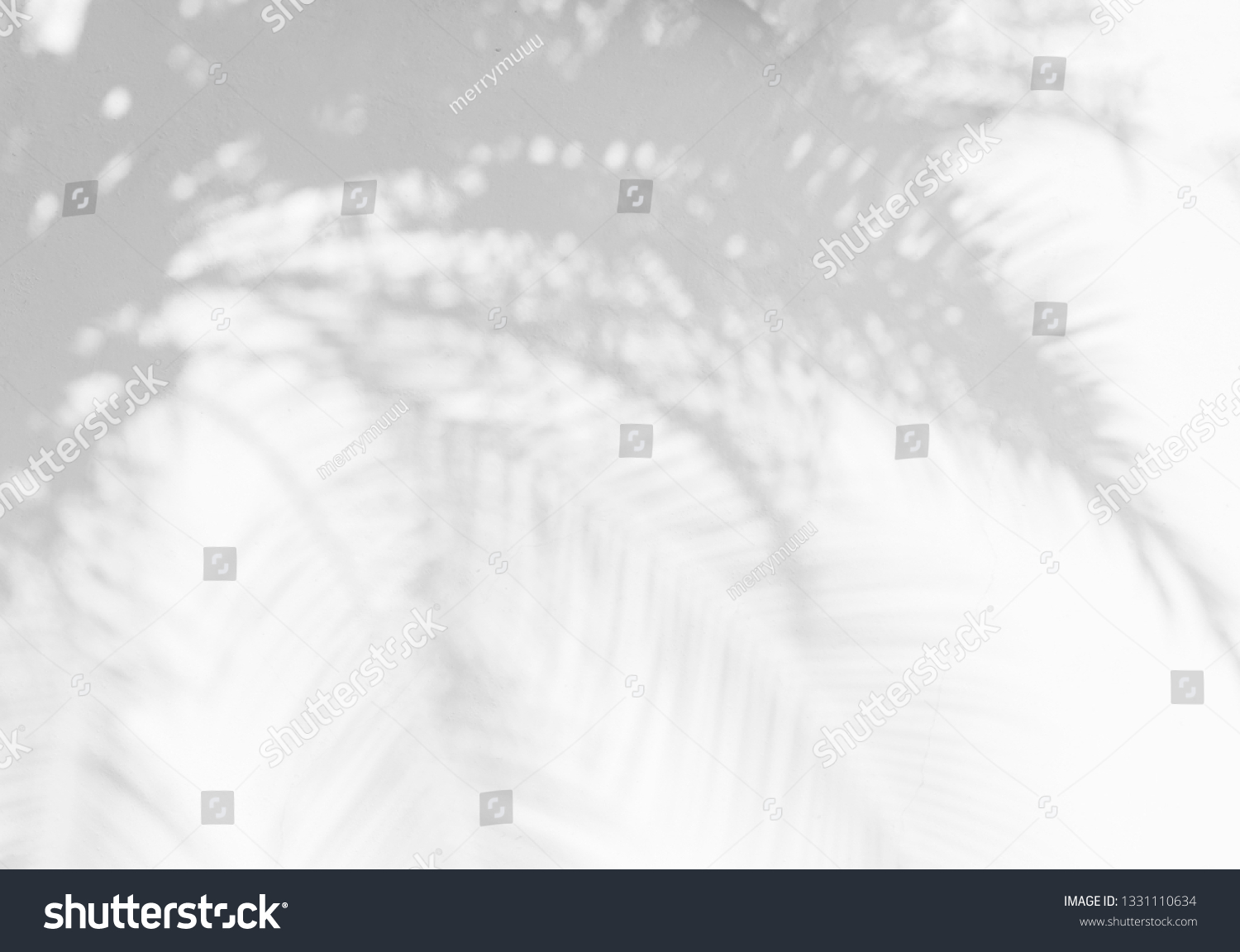 Shadow Background Natural Palm Tree Leaves Stock Photo 1331110634 ...