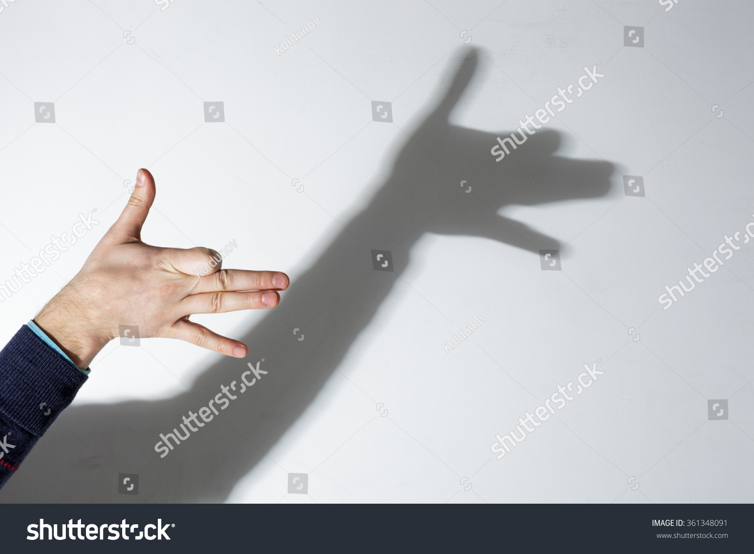 Shadow Play Dog Stock Photo 361348091 : Shutterstock