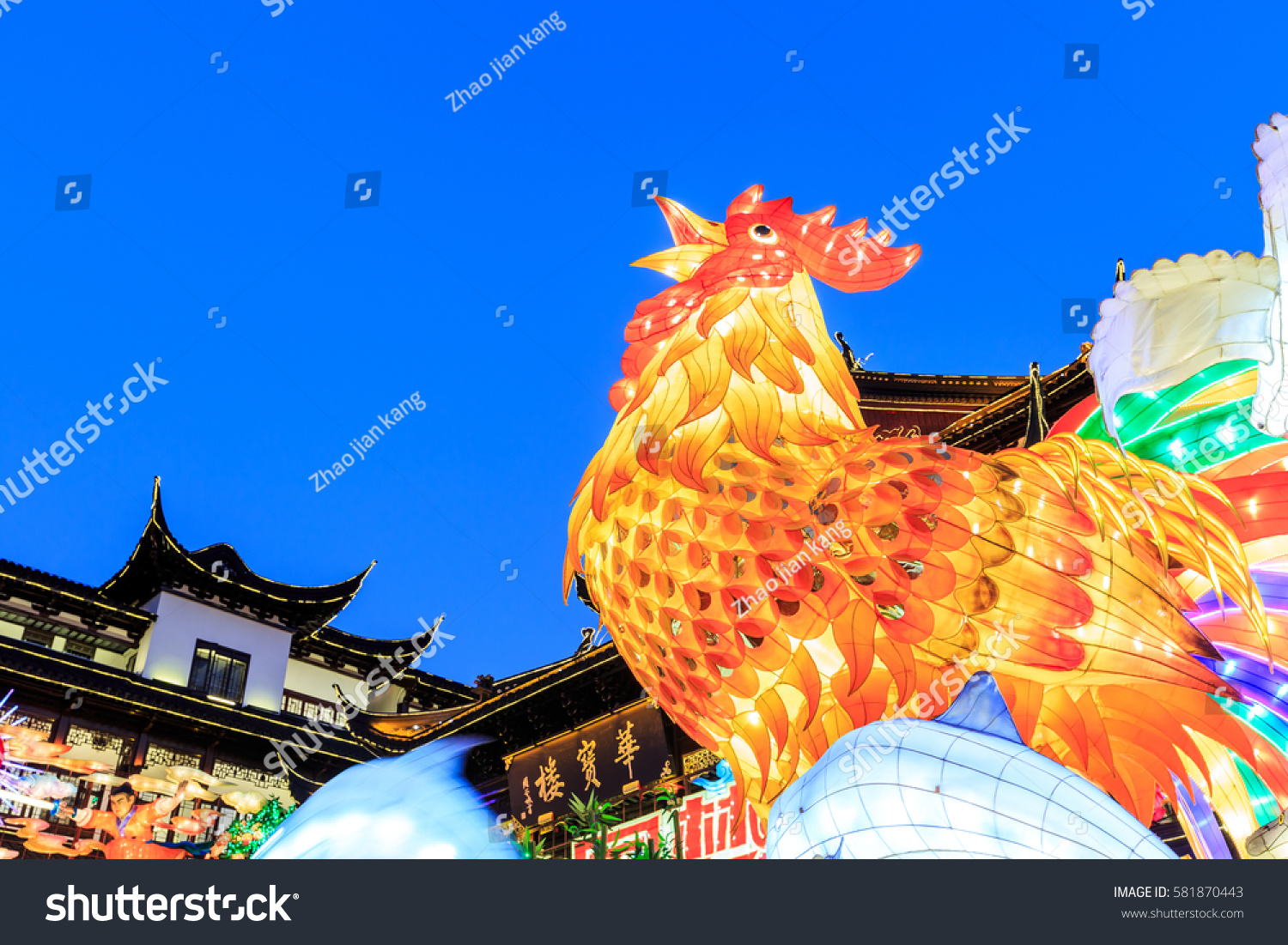 chinese new year rooster lantern