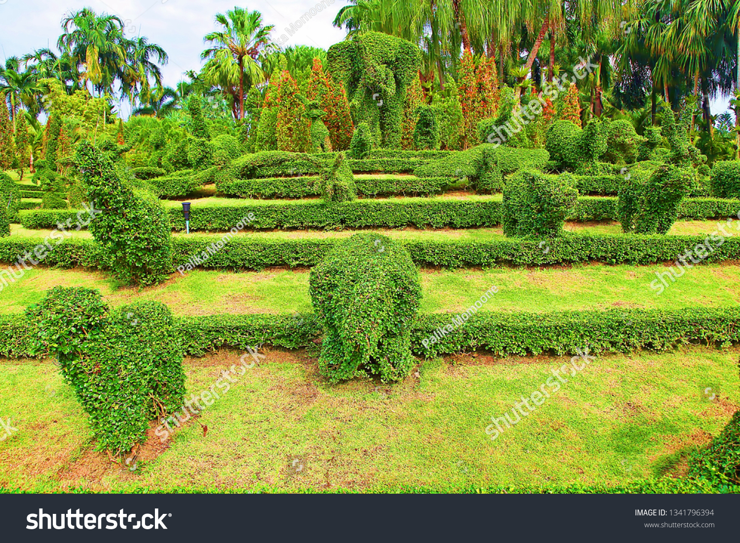Shaped Topiary Green Animals Topiary Garden Stock Photo Edit Now