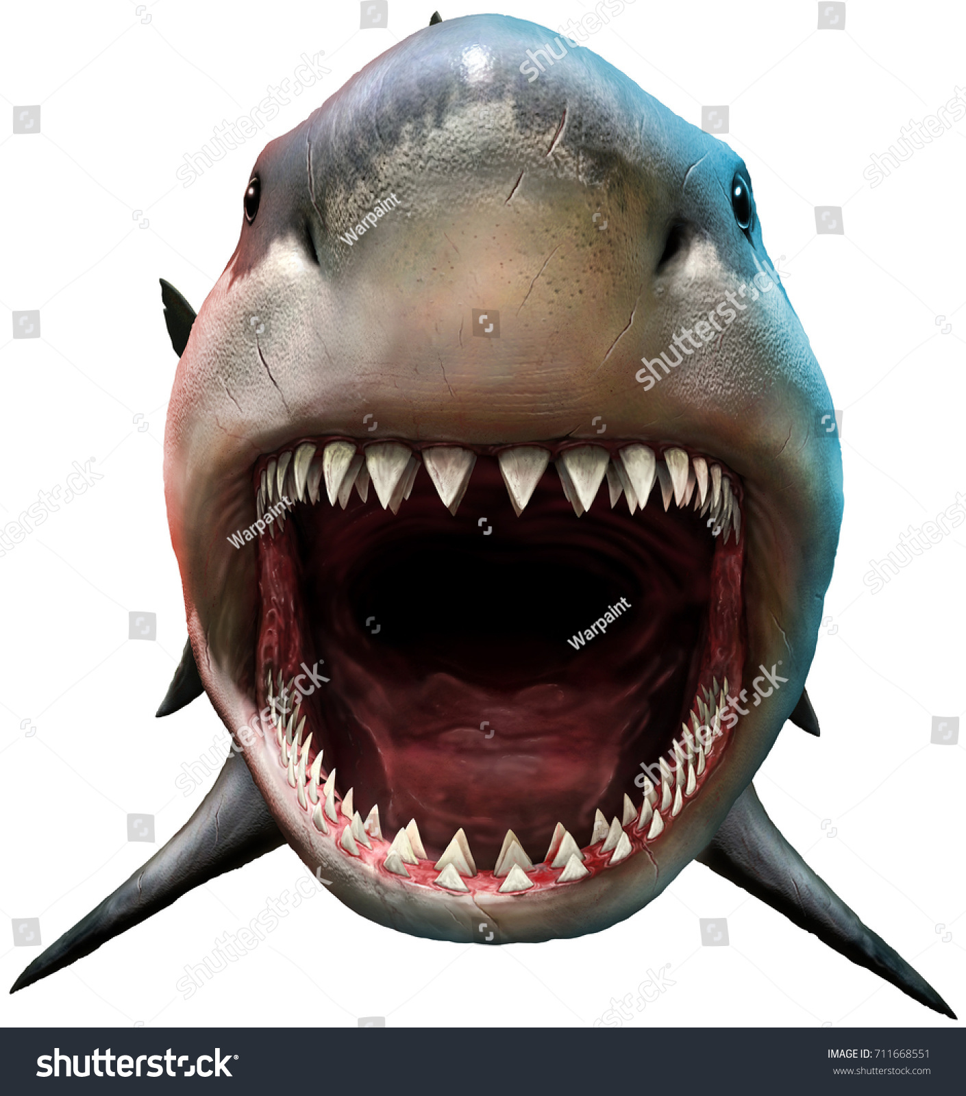 サメを噛む3dイラスト のイラスト素材