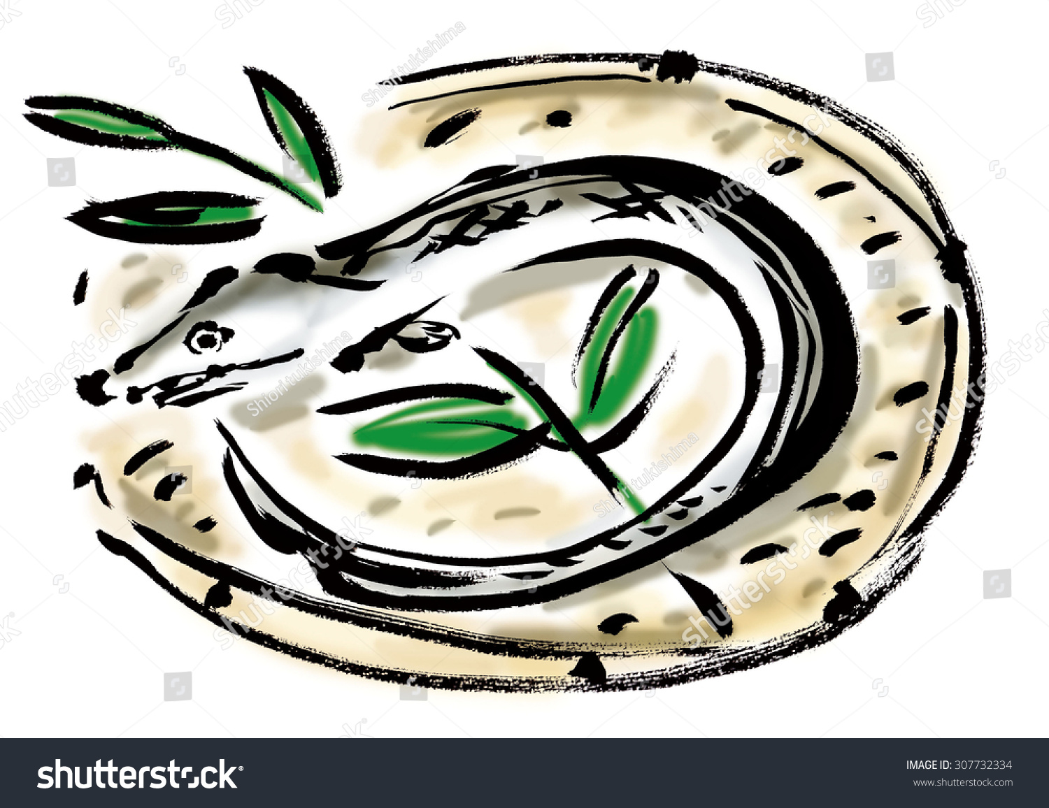 Sharptoothed Eel Stock Illustration 307732334 Shutterstock