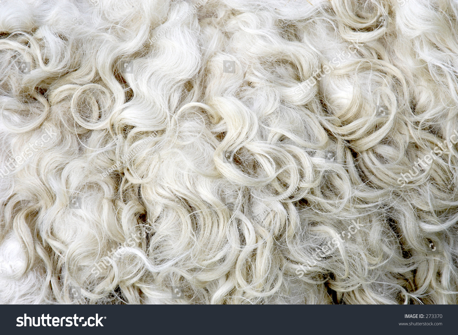 sheep-fleece-stock-photo-273370-shutterstock